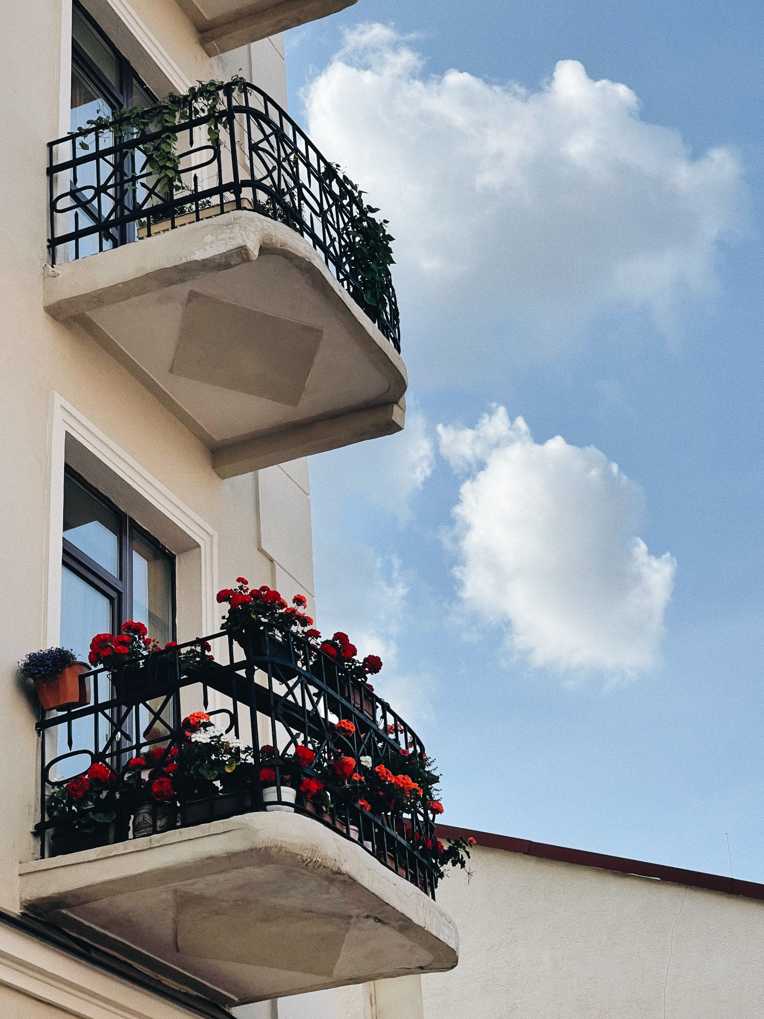 Urban Balcony Garden Solutions in Smart Kochi